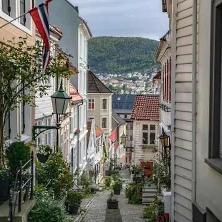 Koselig Bergensleilighet Med Fantastisk Sjoutsikt. *